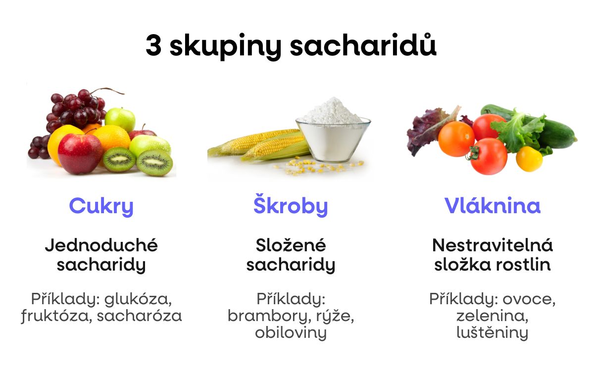 skupiny sacharidy